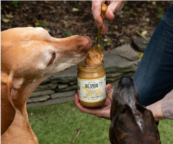BIG SPOON ROASTERS WAG BUTTER VANILLA TATER is a handmade nut and peanut butter for dogs, with a gold lid and white label with yellow accents and a dog silhouette—an irresistible treat from BIG SPOON ROASTERS.