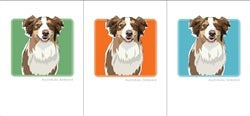 PAPER RUSSELLS - AUSTRALIAN SHEPHERD BOX NOTES feature a smiling Aussie dog with brown, white, and tan fur on a green background with a dark frame. Made in the USA and printed on recycled paper by PAPER RUSSELLS.