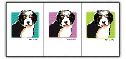 PAPER RUSSELLS - BERNEDOODLE NOTE CARDS feature a fluffy black, white, and brown Bernedoodle puppy with its mouth slightly open on a teal striped background, printed on eco-friendly recycled stationery.