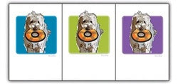 PAPER RUSSELLS - DOODLE WITH ROUND TOY BOX NOTES features a fluffy dog with an orange and black frisbee on blue, framed in black. Playful yet eco-conscious, these cards by PAPER RUSSELLS are printed on recycled paper.