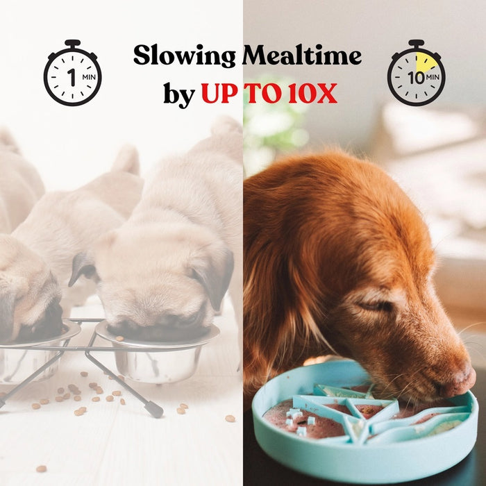 The BARKS & BROWNIES SNUFFLE MAT BOWL - BLUE features a tray with twelve four-petal flower shapes—ten in blue and two in yellow, with the yellow flowers placed at the center—all crafted from food-grade silicone for safe use as a dog slow feeder or snuffle mat bowl.