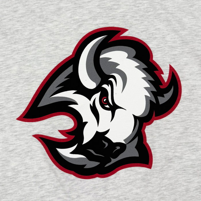 '47 Brand Buffalo Sabres Alternate Logo Gray Franklin T-Shirt