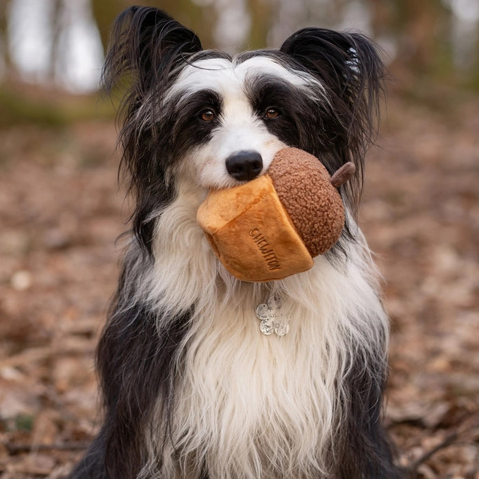 A plush, squeaky dog toy from CHEWFFON shaped like an acorn, featuring a textured brown top and a smooth tan base. The word “CHEWFFON” is embroidered on the base in light brown thread. This toy is called the ACORN SNUFFLE & SQUEAKY DOG TOY.