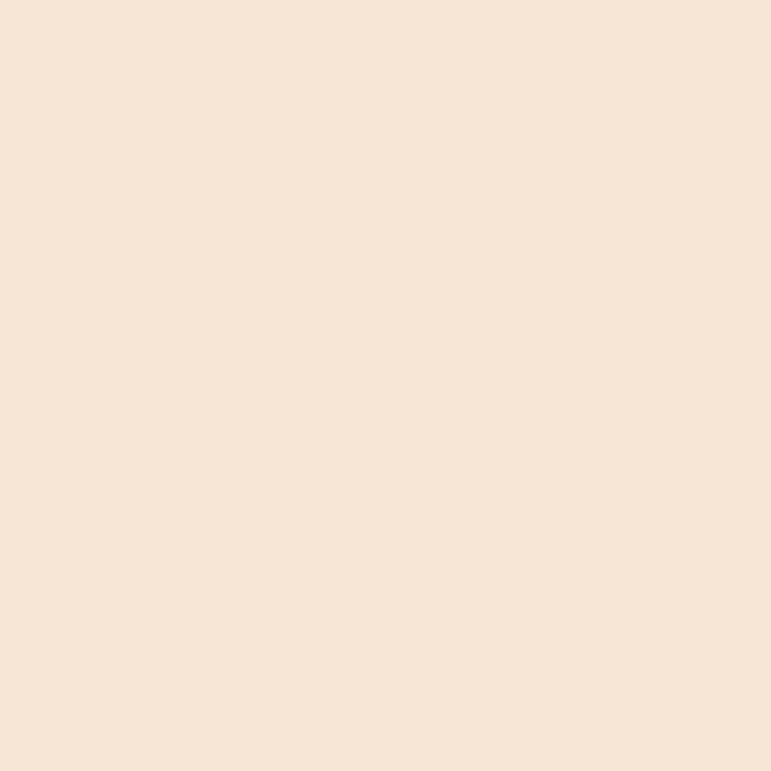 19 Fair Beige