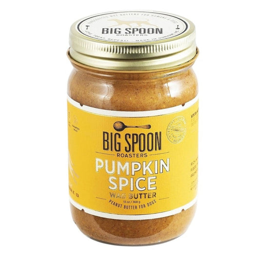 A metal spoon holds BIG SPOON ROASTERS - WAG BUTTER PUMPKIN SPICE against a plain white background—an excellent healthy dog treat from BIG SPOON ROASTERS.