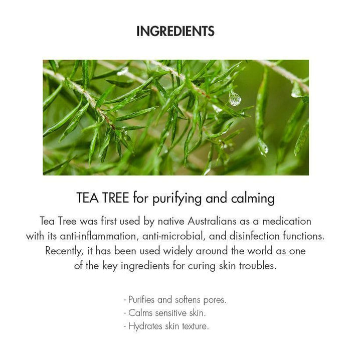 [Dr.Ceuracle] Tea Tree Purifine Green Up Sun SPF 50+ PA++++ 50ml - Ballagrio