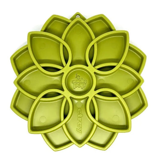 A black and white dog eats treats from a green MANDALA ETRAY SLOW FEEDER ENRICHMENT DOG BOWL by SODA PUP on a light wooden floor in a cozy room with green plants and a beige chair.