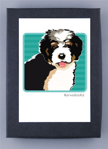 PAPER RUSSELLS - BERNEDOODLE NOTE CARDS feature a fluffy black, white, and brown Bernedoodle puppy with its mouth slightly open on a teal striped background, printed on eco-friendly recycled stationery.
