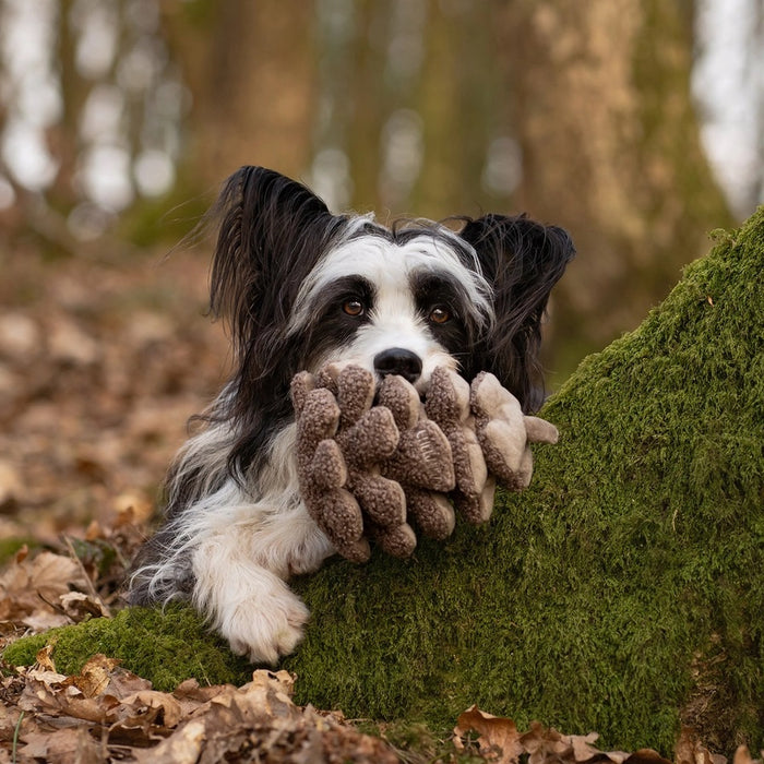 The CHEWFFON PINECONE SNUFFLE & CRINKLE DOG TOY is a plush dog toy shaped like a brown pine cone, featuring a textured surface and a small embroidered label. Designed to promote dental hygiene while keeping your pup entertained, it is photographed on a plain white background.