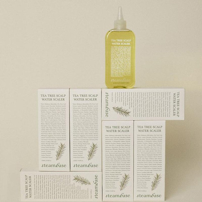 [STEAMBASE] Tea Tree Scalp Water Scaler 250ml - Ballagrio
